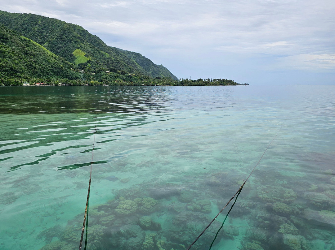 Tahiti iti pearl farm - La Ferme Perlière Touristique de Tahiti--Teahupoo必去景点