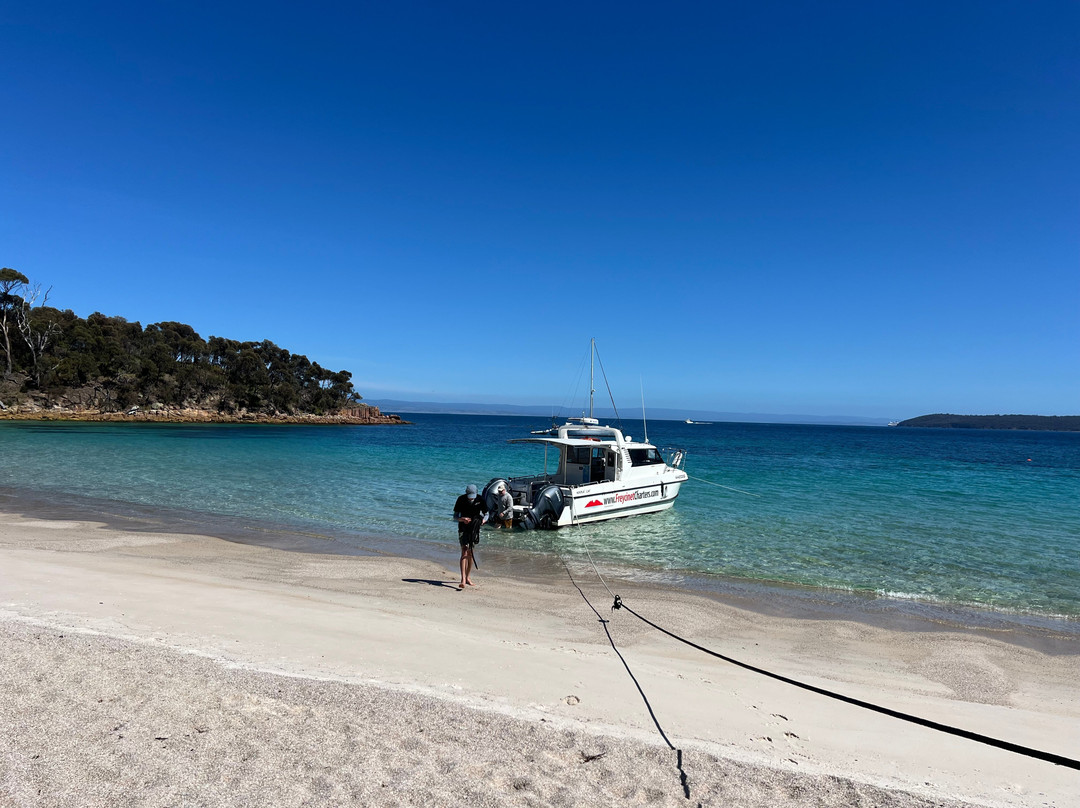 Freycinet Charters-科尔斯湾必去景点