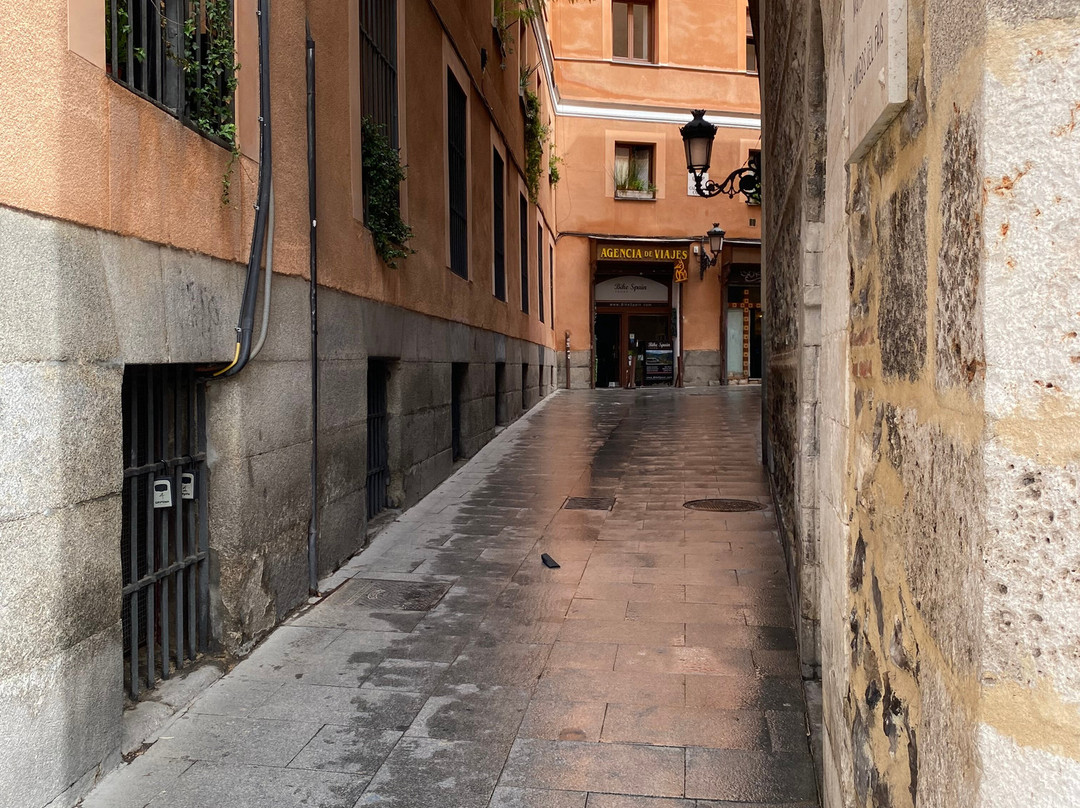 Calle De Codo-马德里必去景点