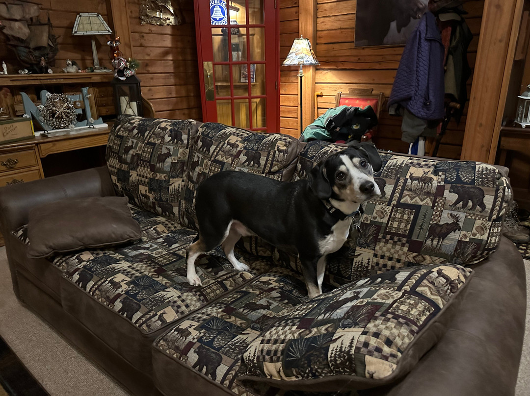 Fox's Lodge at Oak Pointe Bed and Breakfast主图