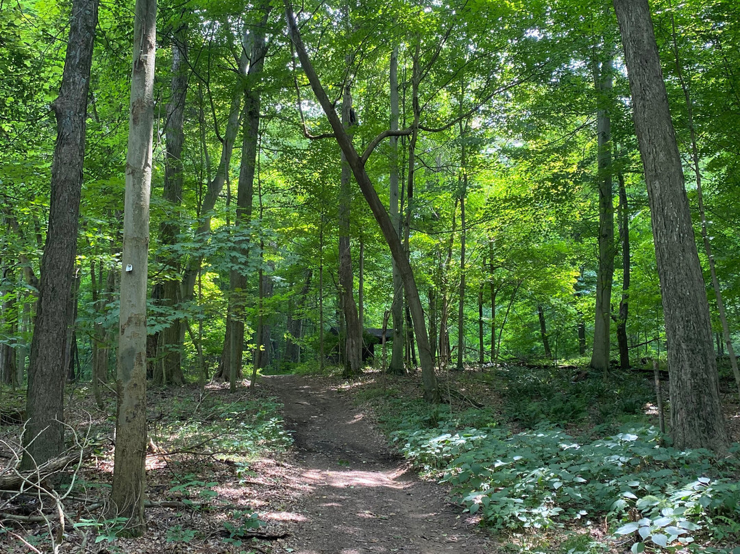 Ohio Bird Sanctuary景点图片