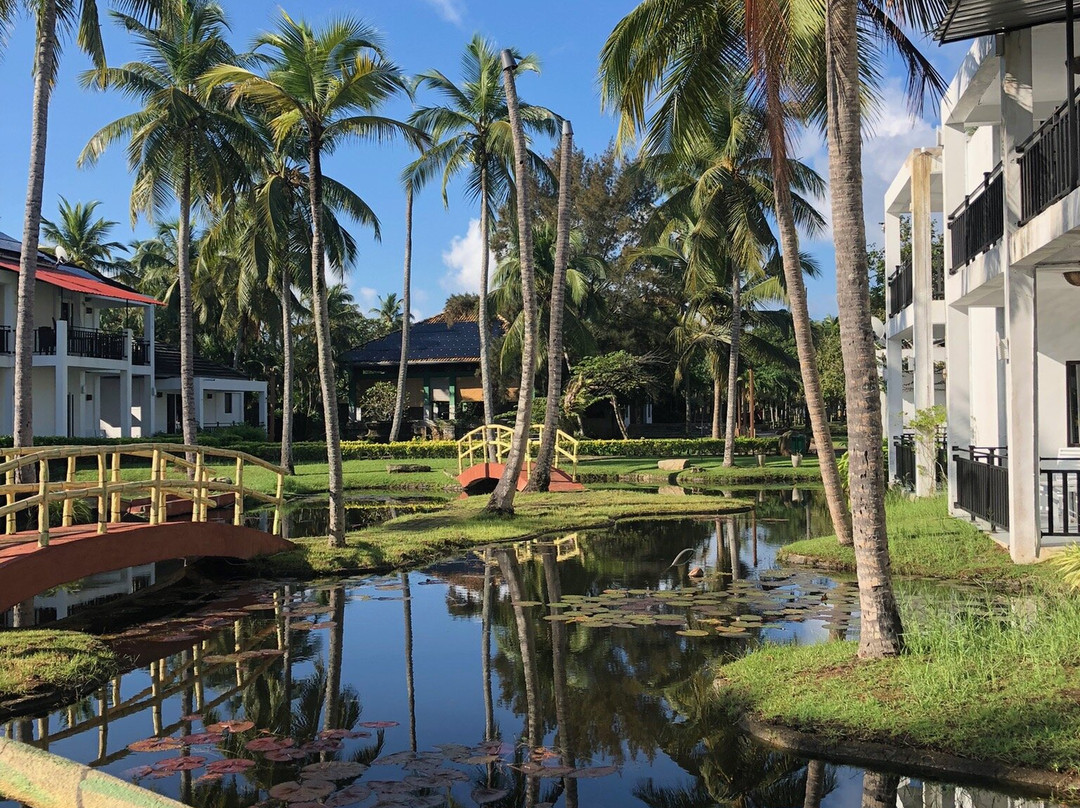 Amaluna Resorts主图