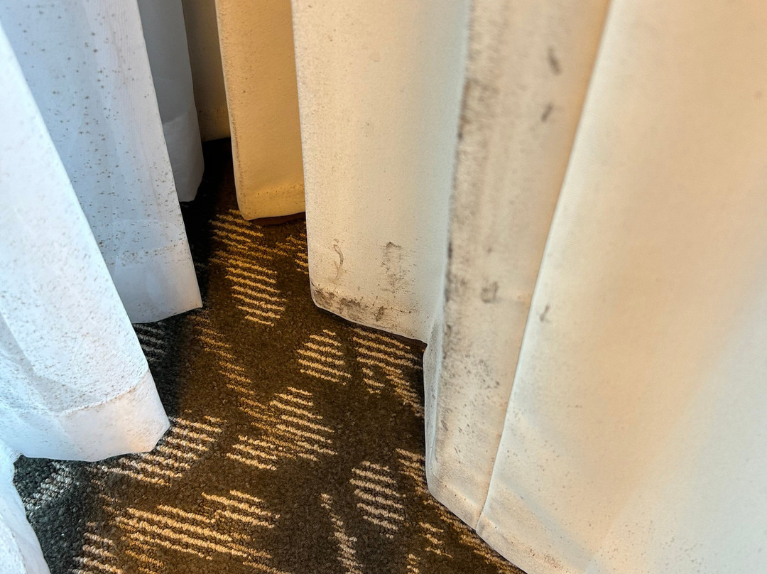 Miyako Hybrid Hotel主图