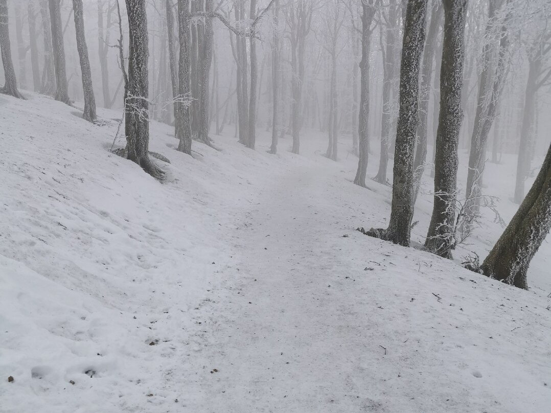 Le Col De La Schlucht-Le Valtin必去景点
