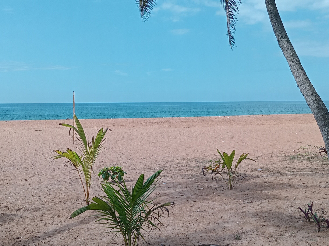 棕榈叶海滩酒店主图