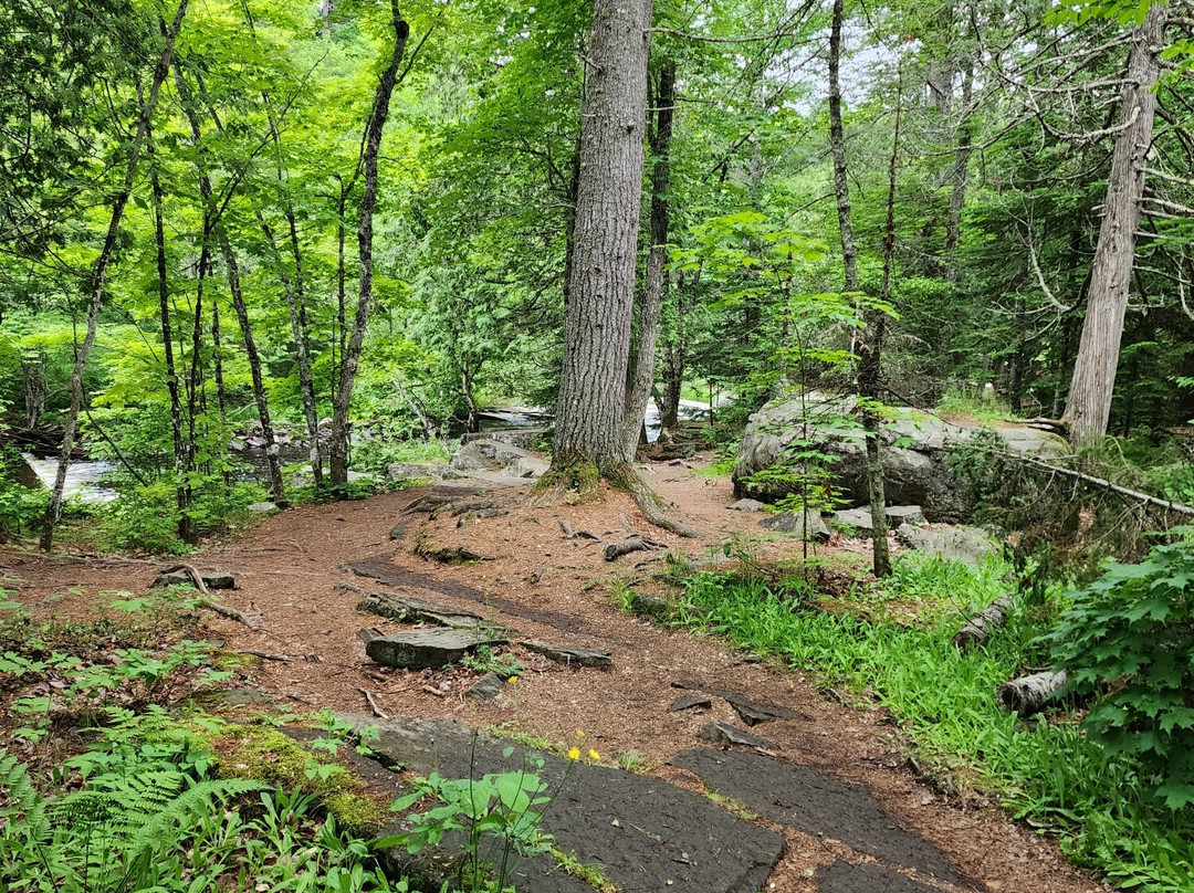 Canyon Falls Trail-L'Anse必去景点