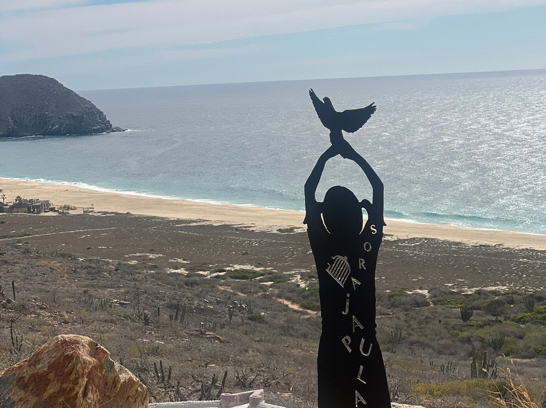 Guaycura Boutique Hotel Beach Club & Spa主图