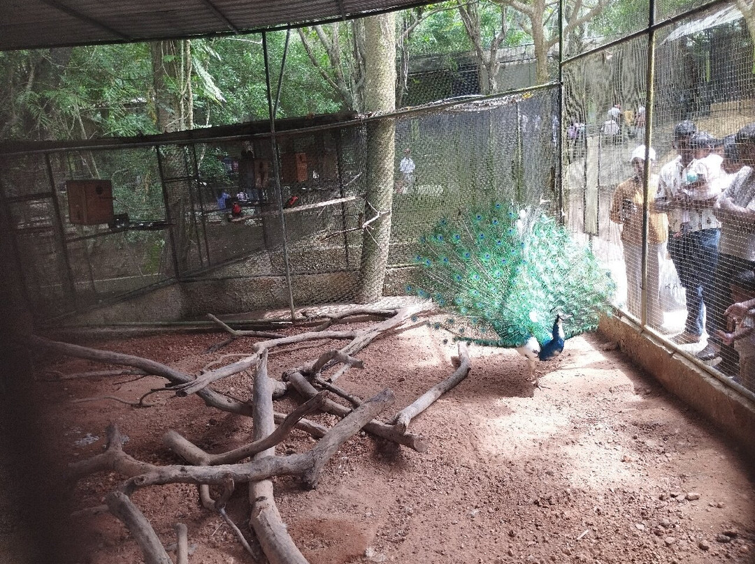 Water World Lanka景点图片
