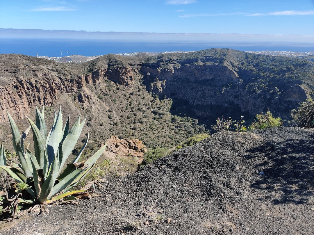 Caldera de Bandama景点图片