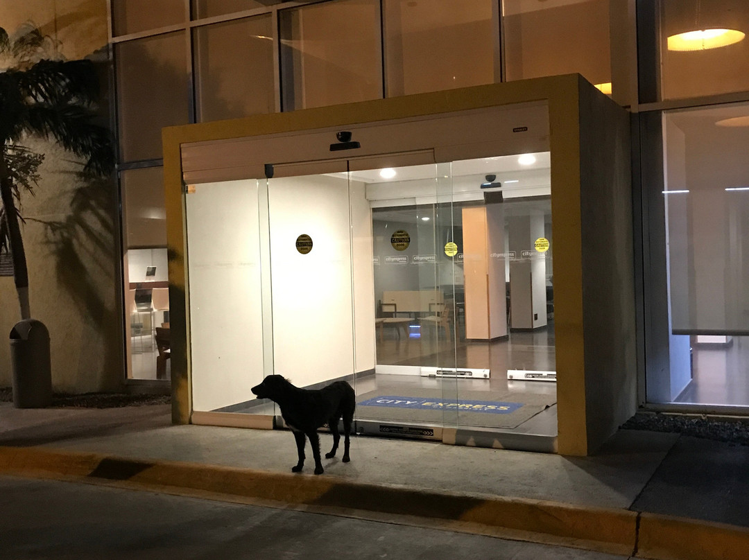 City Express By Marriott Salina Cruz主图