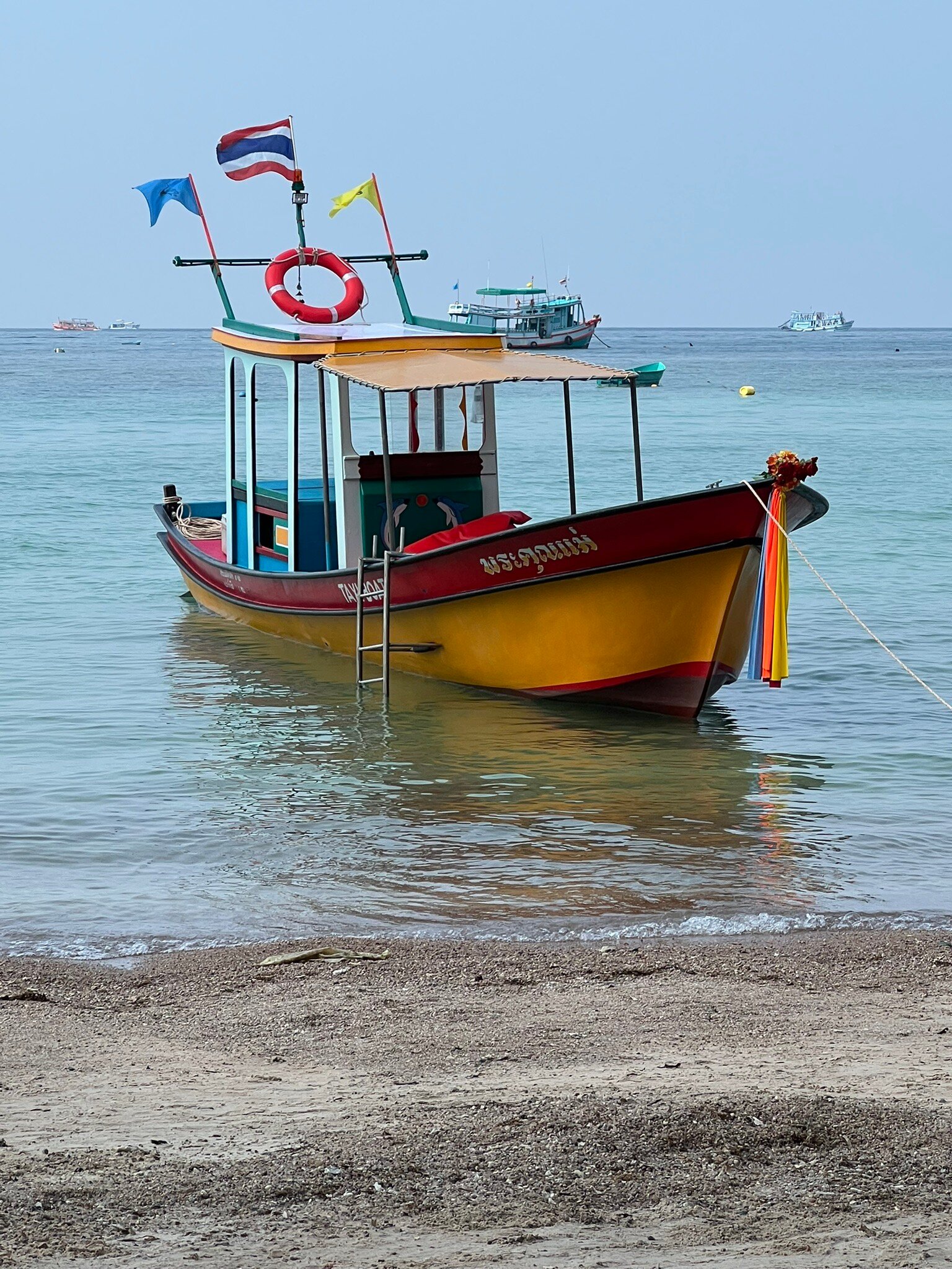 Palm Leaf Resort-官方