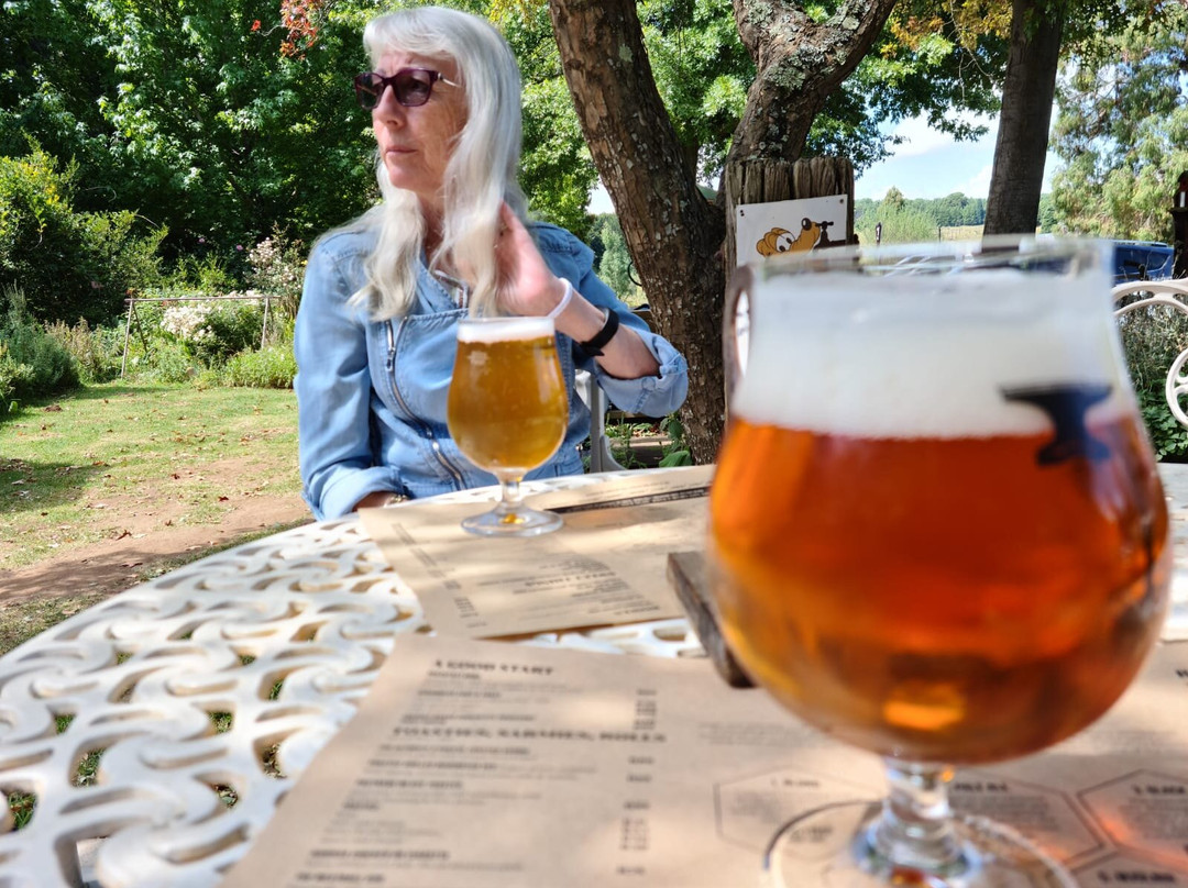 Anvil Ale Brewery-德尔斯特鲁姆必去景点