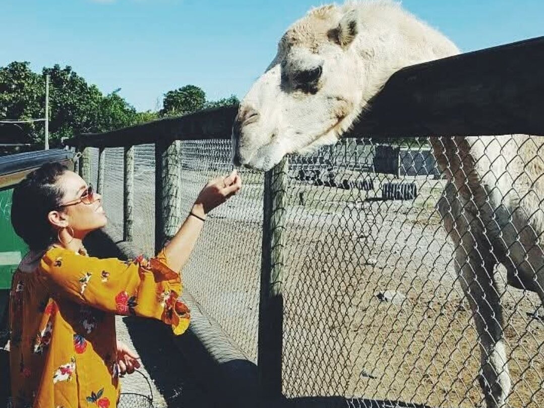 Everglades Outpost Wildlife Refuge-霍姆斯特德必去景点