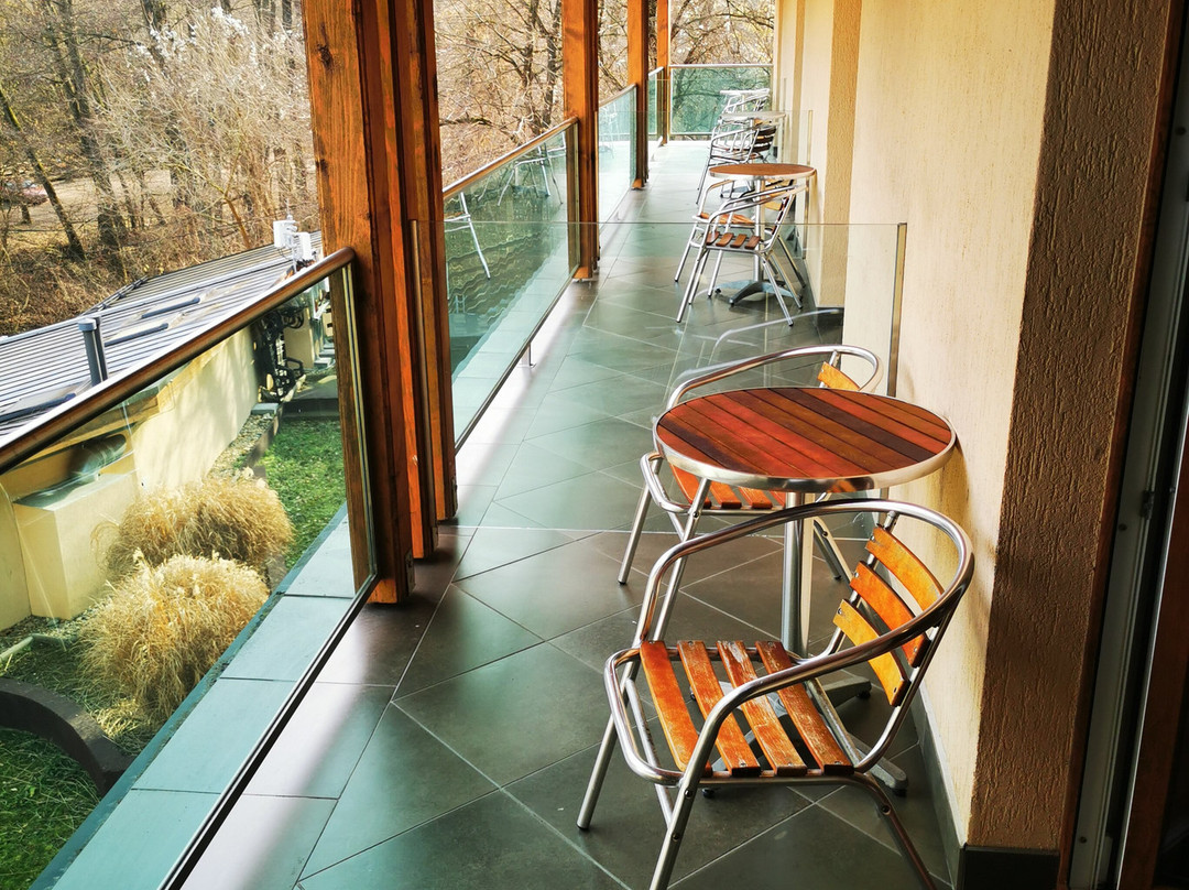 Patak Park Hotel Visegrad主图