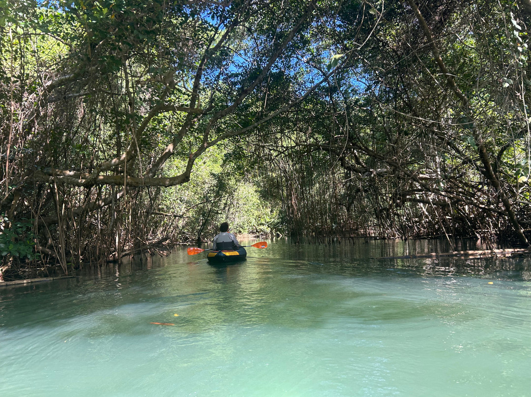 Gwada Gonflé-Petit-Bourg必去景点