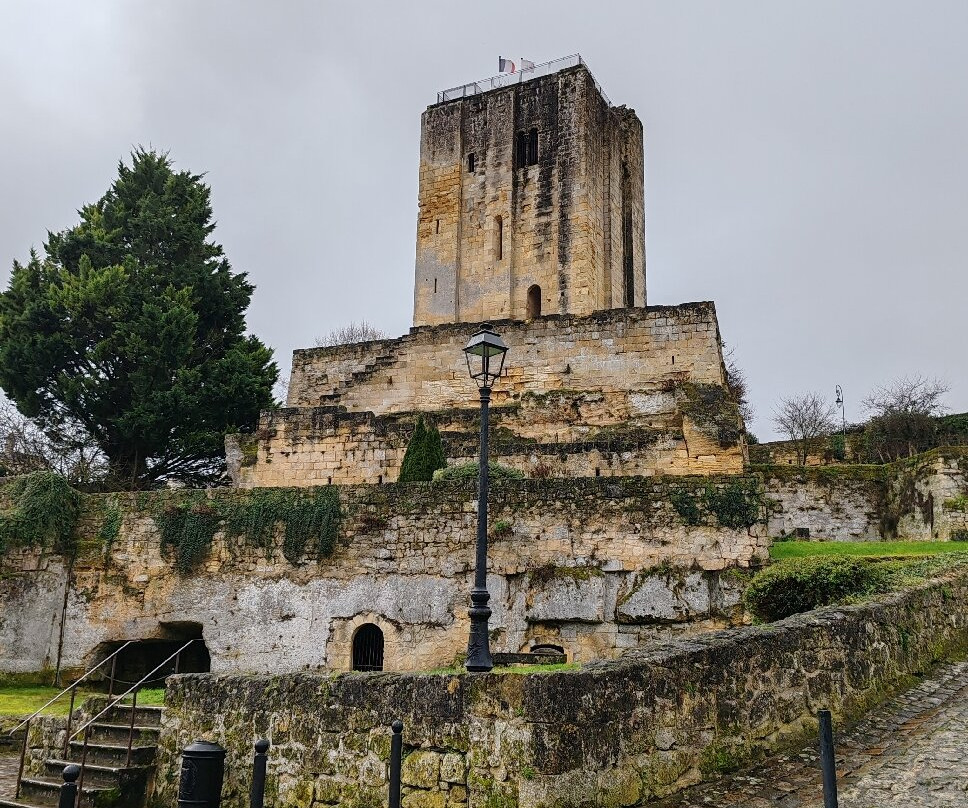 La Tour du Chateau du Roy景点图片