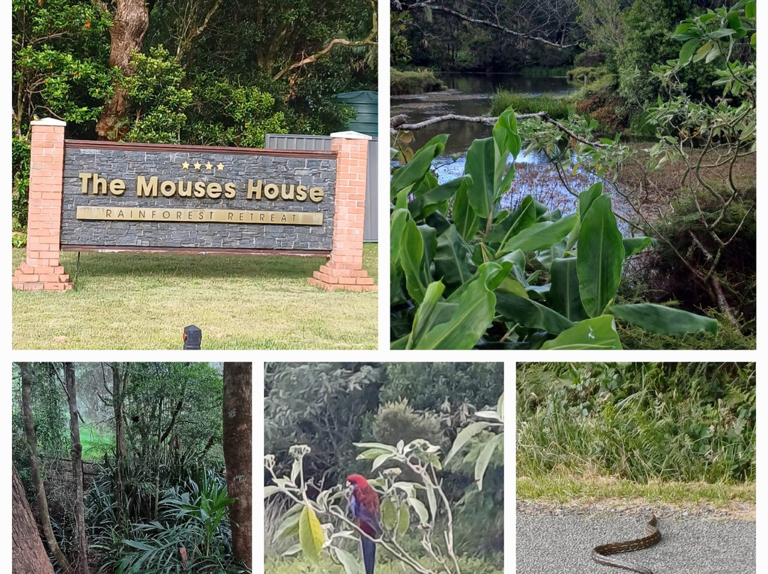 茅斯热带雨林度假村主图