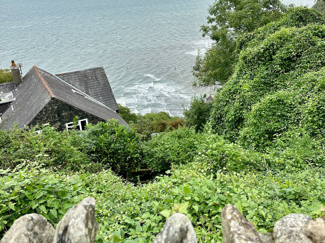 Lynton and Lynmouth Cliff Railway-林茅斯必去景点