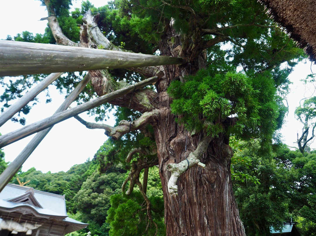 Tamawakasu Mikoto Shrine-隐岐之岛町必去景点