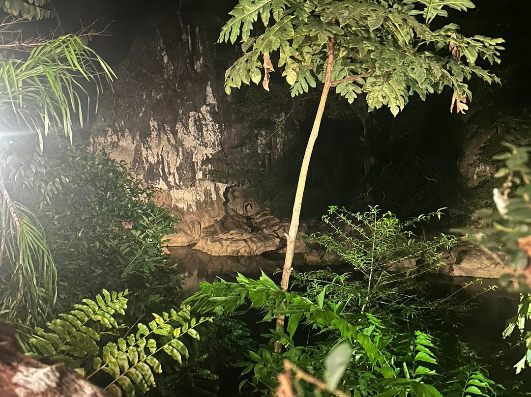 Art's Riverview Jungle Lodge主图
