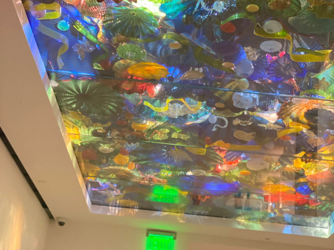 Norton Museum of Art景点图片