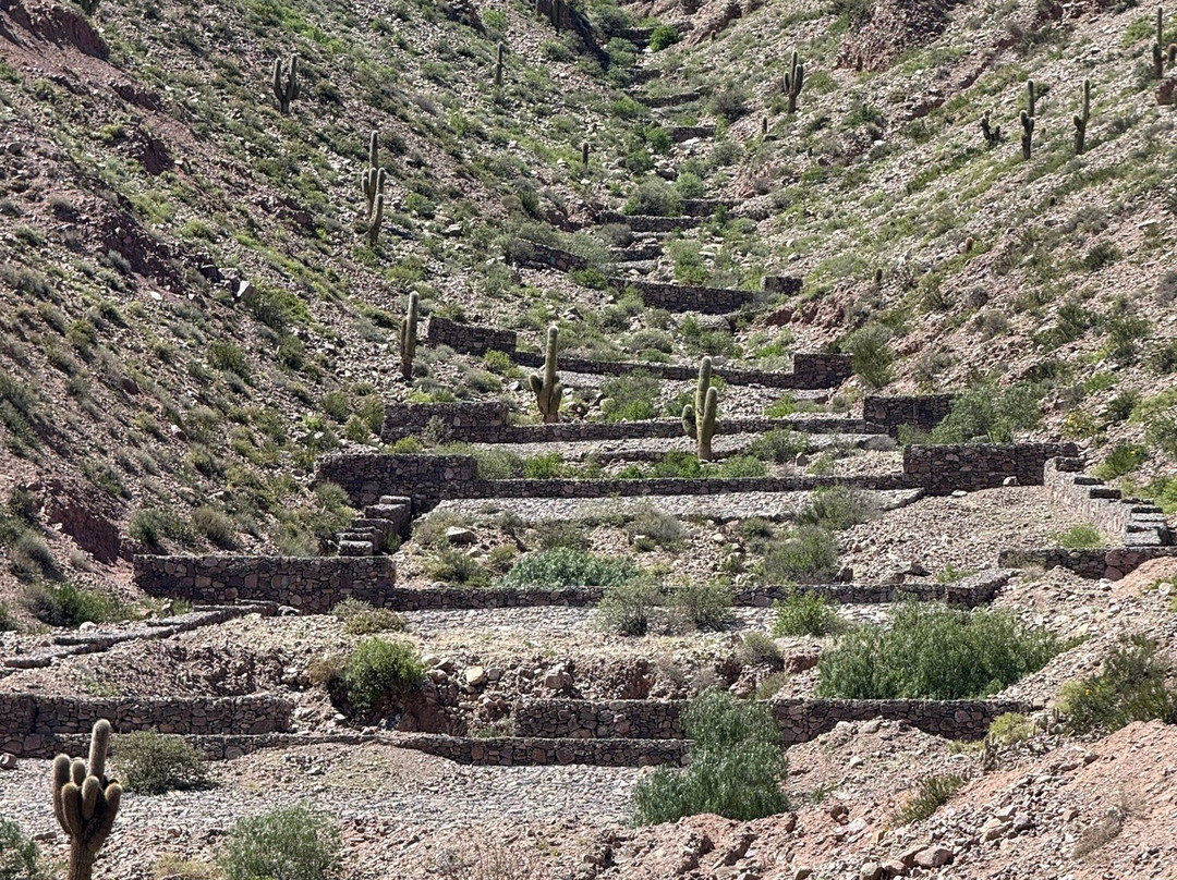 Las Terrazas Hotel Boutique主图