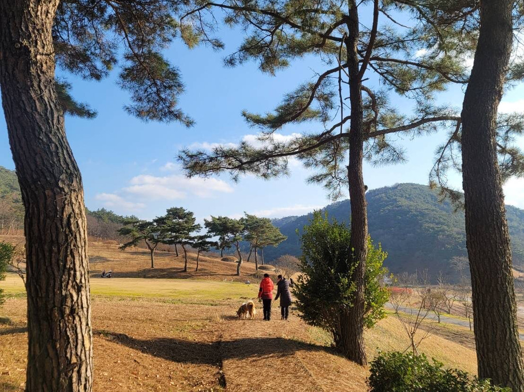 高敞、和顺、江华的史前遗址 -高敞郡必去景点