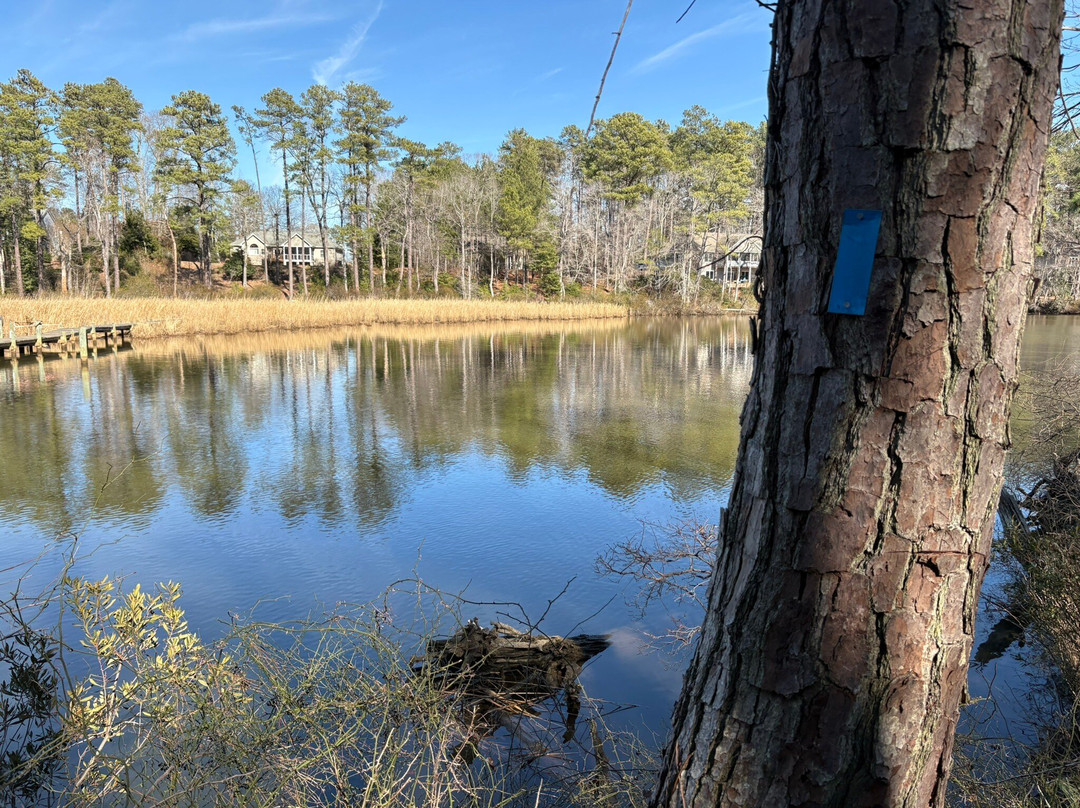 Bush Mill Stream Natural Area Preserve-Heathsville必去景点