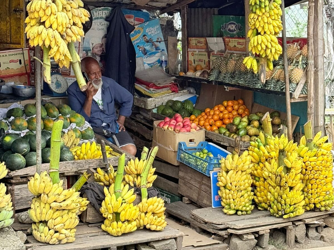 Pradeep Tours-瓦勒迦玛必去景点