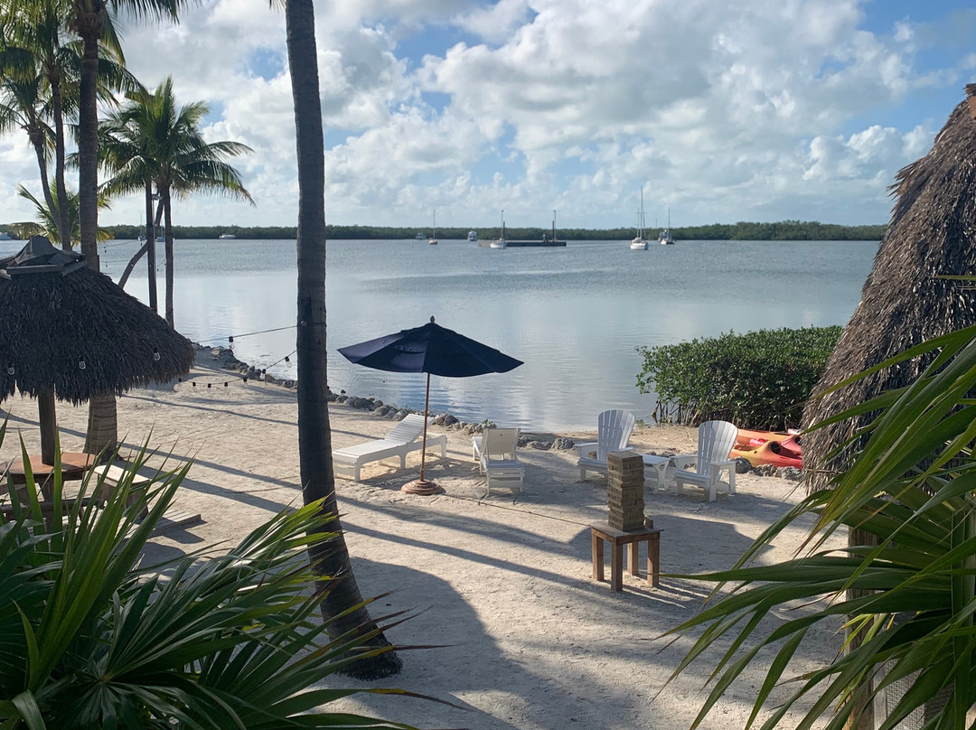 椰树棕榈树旅馆主图