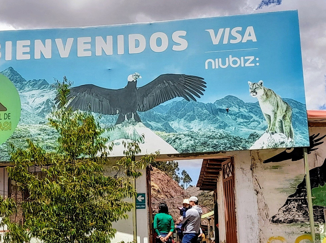 Cochahuasi Animal Sanctuary-库斯科必去景点