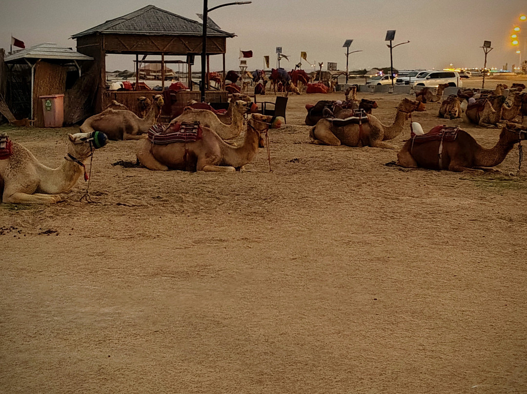 365 Adventures-多哈必去景点