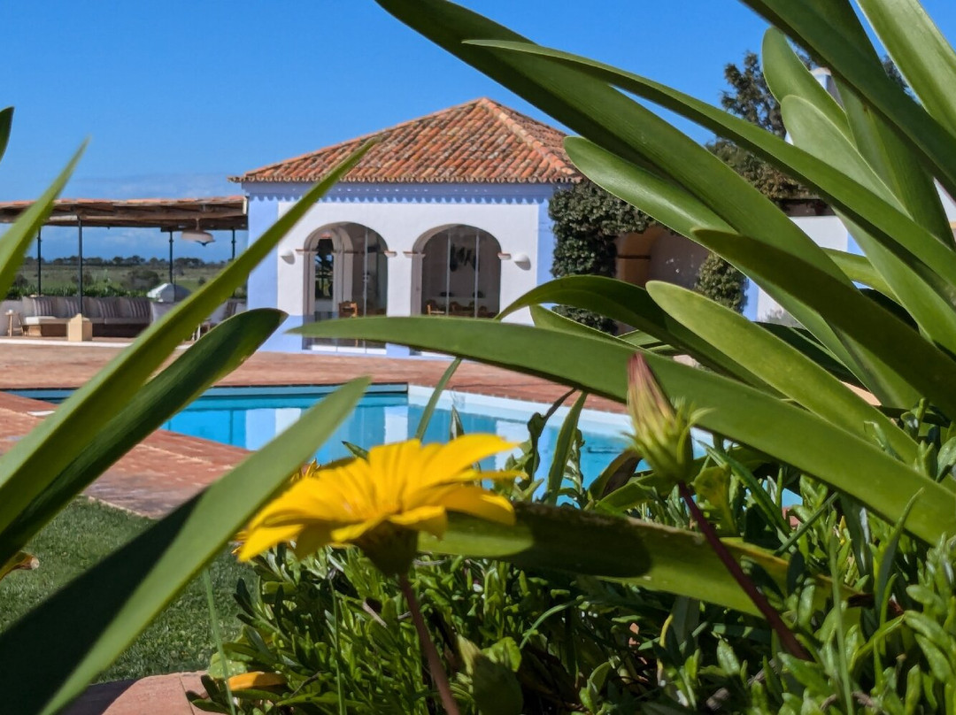 Herdade do Touril主图