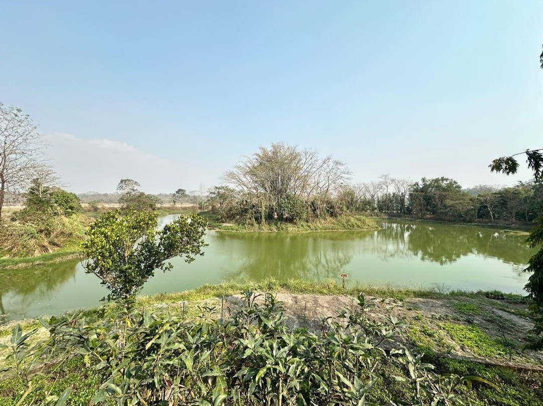 The Riverwood Forest Retreat Dooars主图