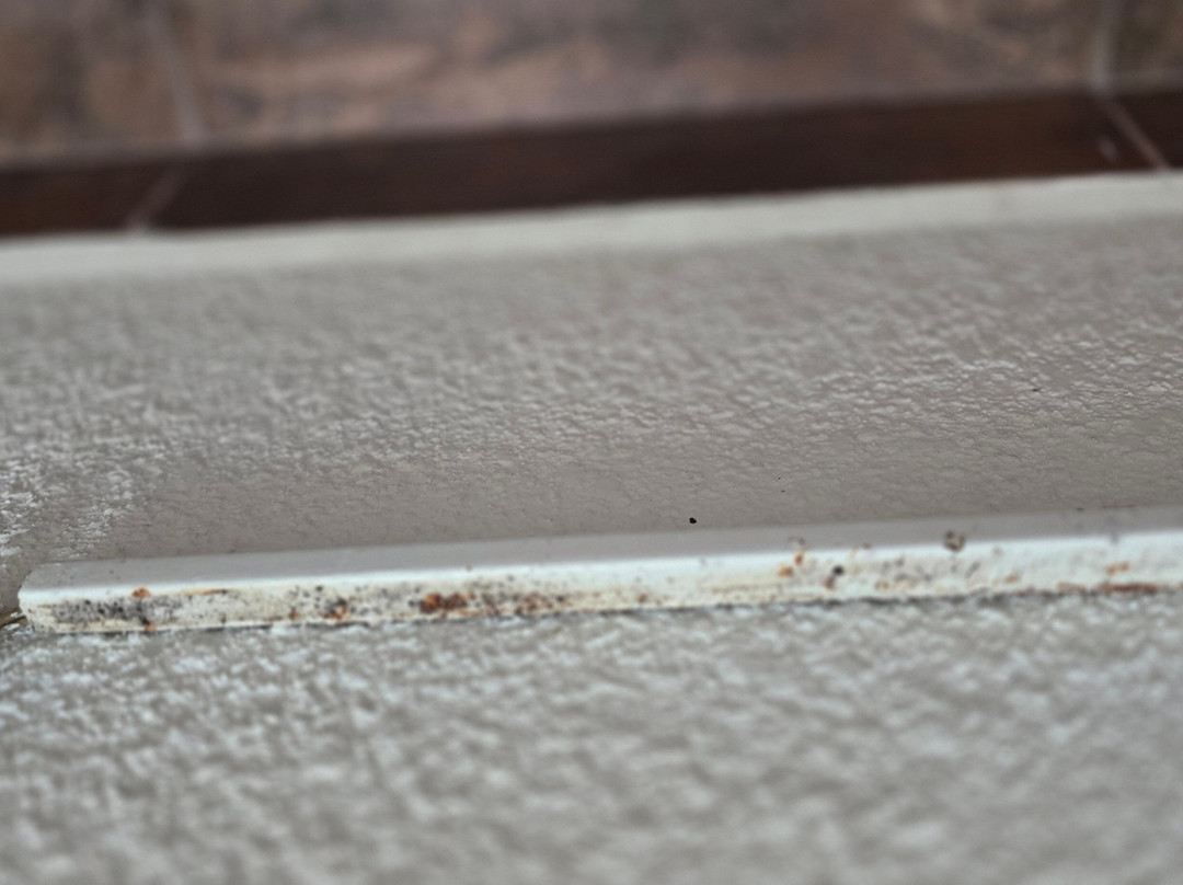 Super 8 By Wyndham South Padre Island主图