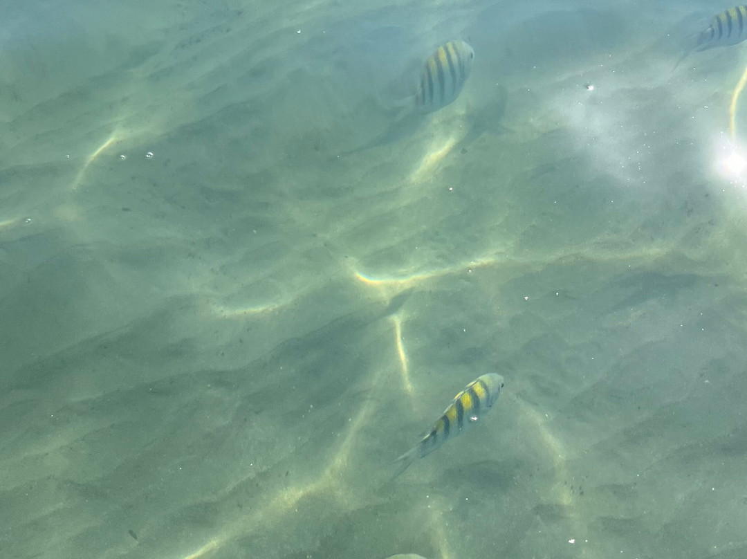 Fortaleza Beach-乌巴图巴必去景点