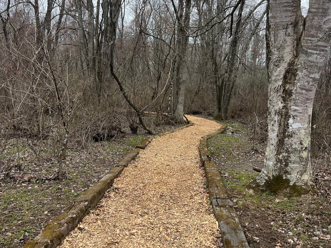 Wolf Creek Indian Village & Museum-Bastian必去景点