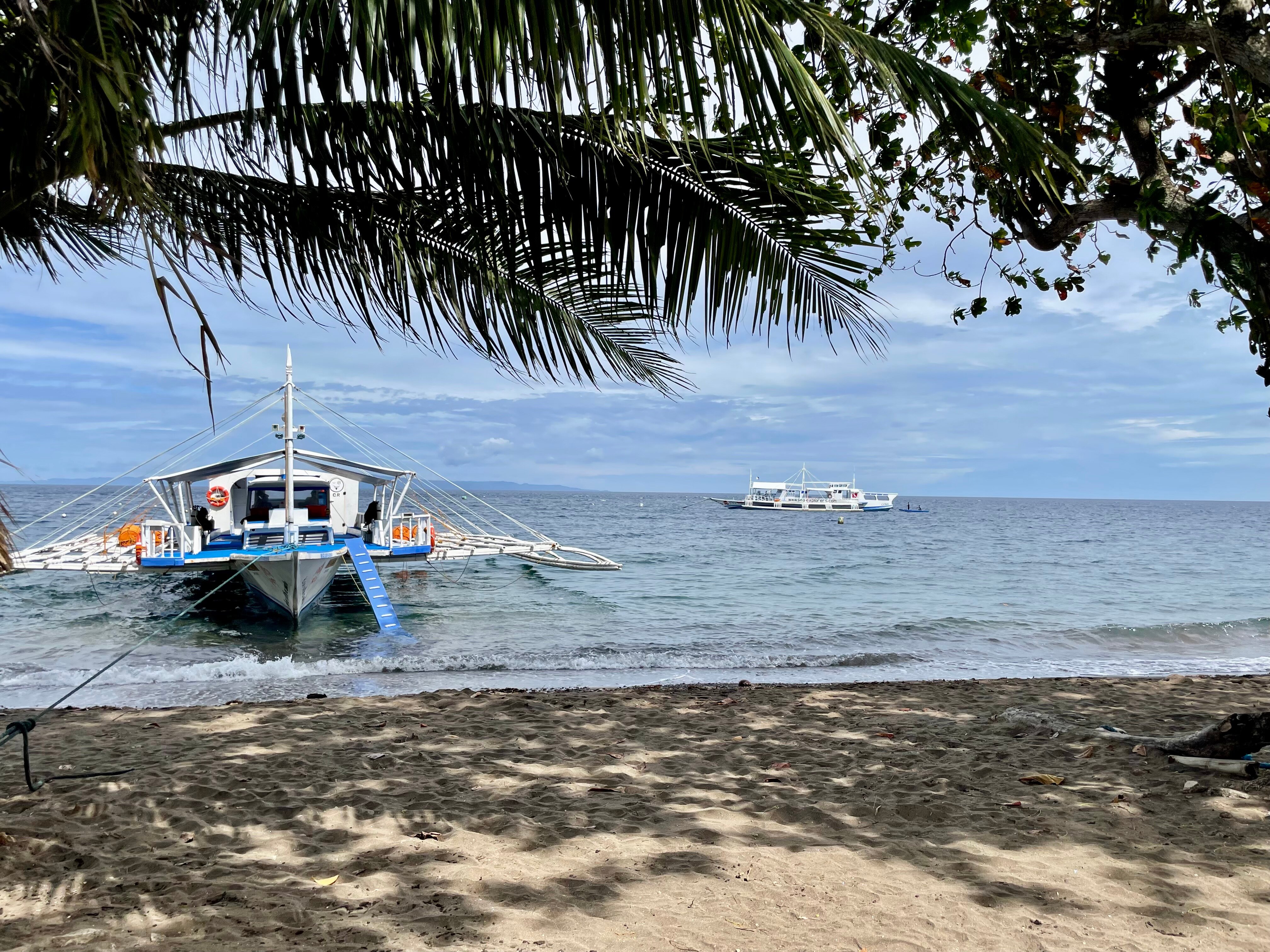 Pura Vida Beach & Dive Resort-官方