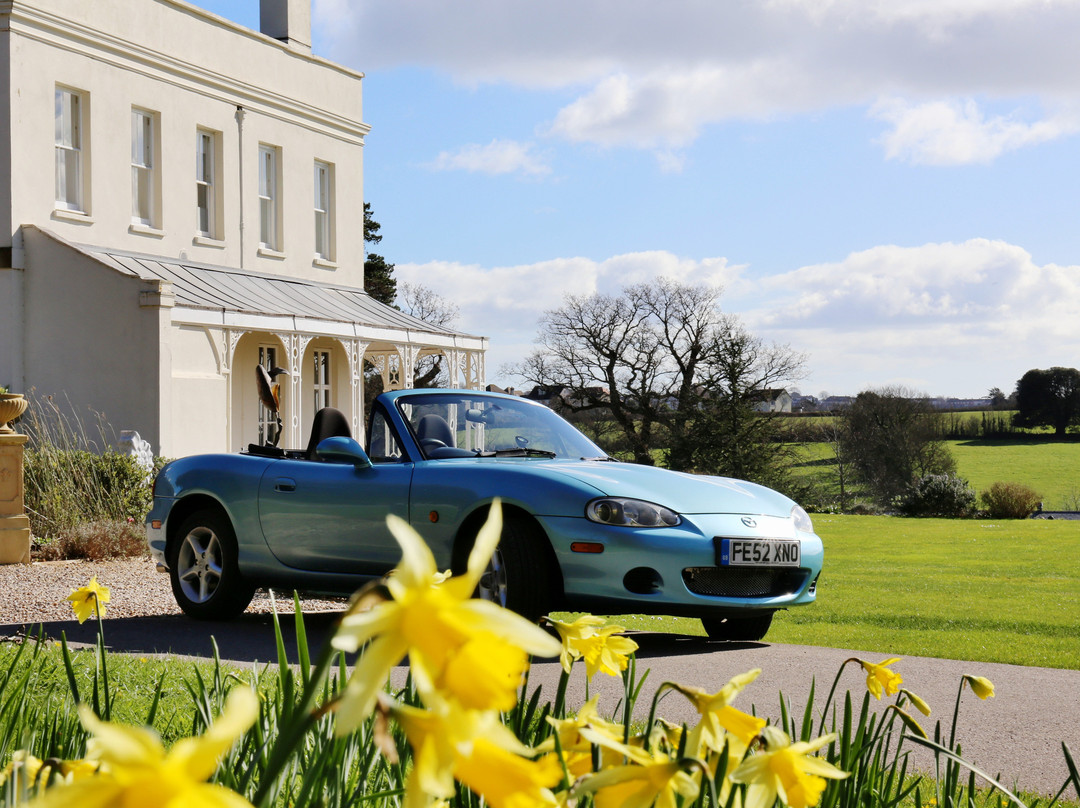 Drive Devon-Ottery St. Mary必去景点