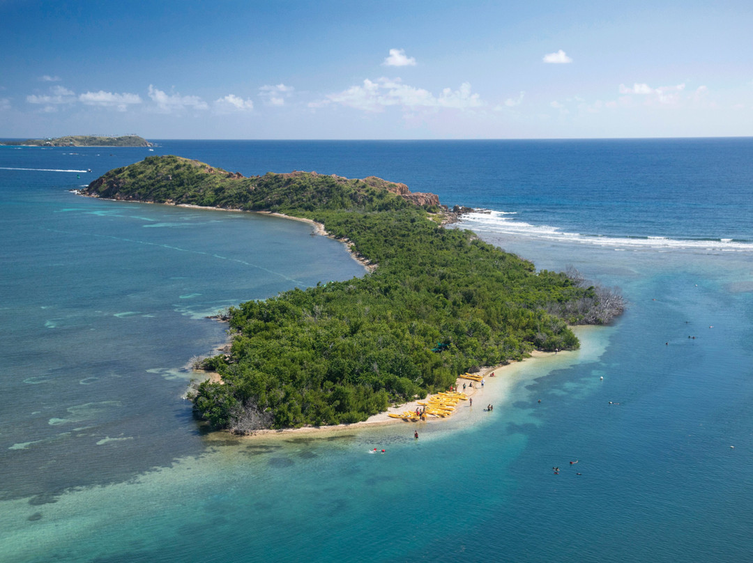 Virgin Islands Ecotours-夏洛特阿马利亚必去景点