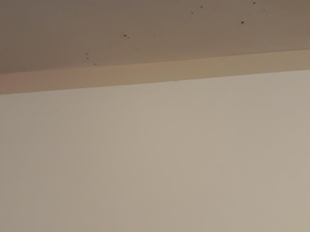 Premier Inn Maidenhead Town Centre hotel主图