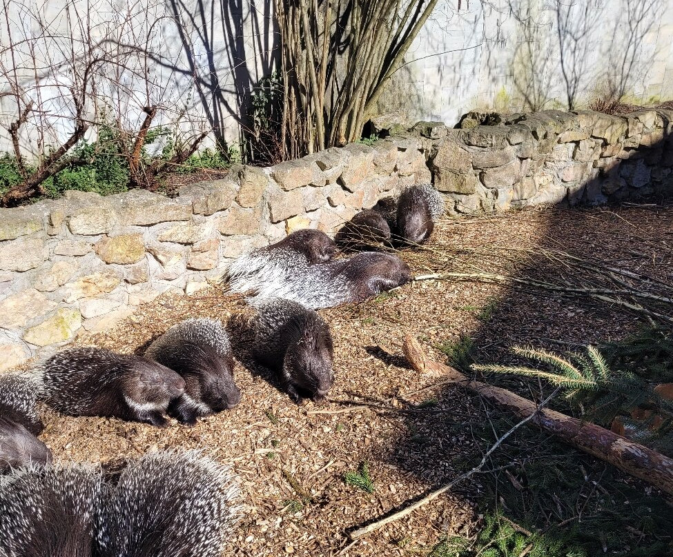Riga Zoo-里加必去景点