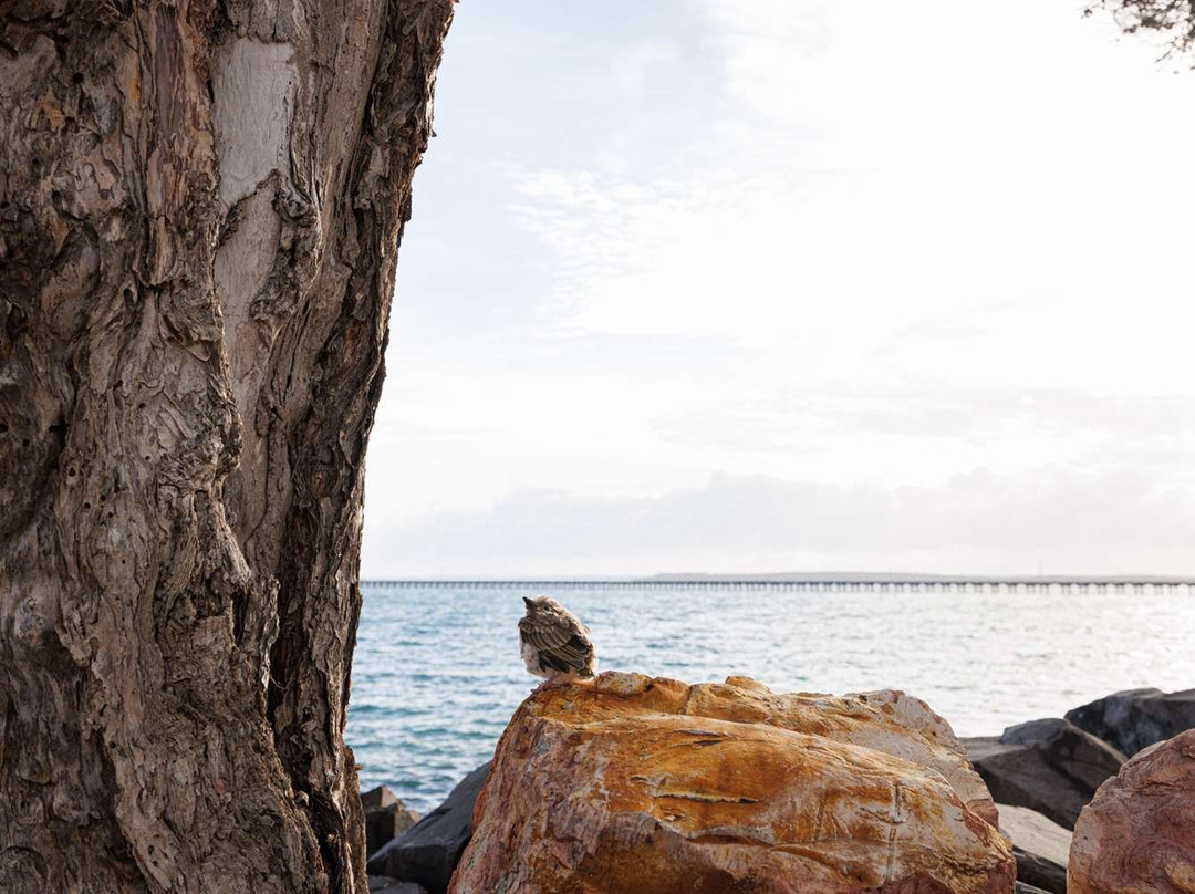 赫维湾酒店住宿-赫维湾盛橡水疗度假酒店