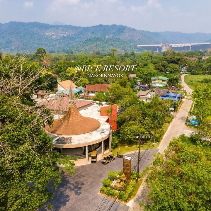 At Rice Resort主图