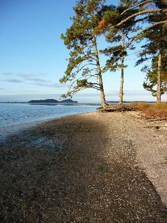 The Point Lodge主图