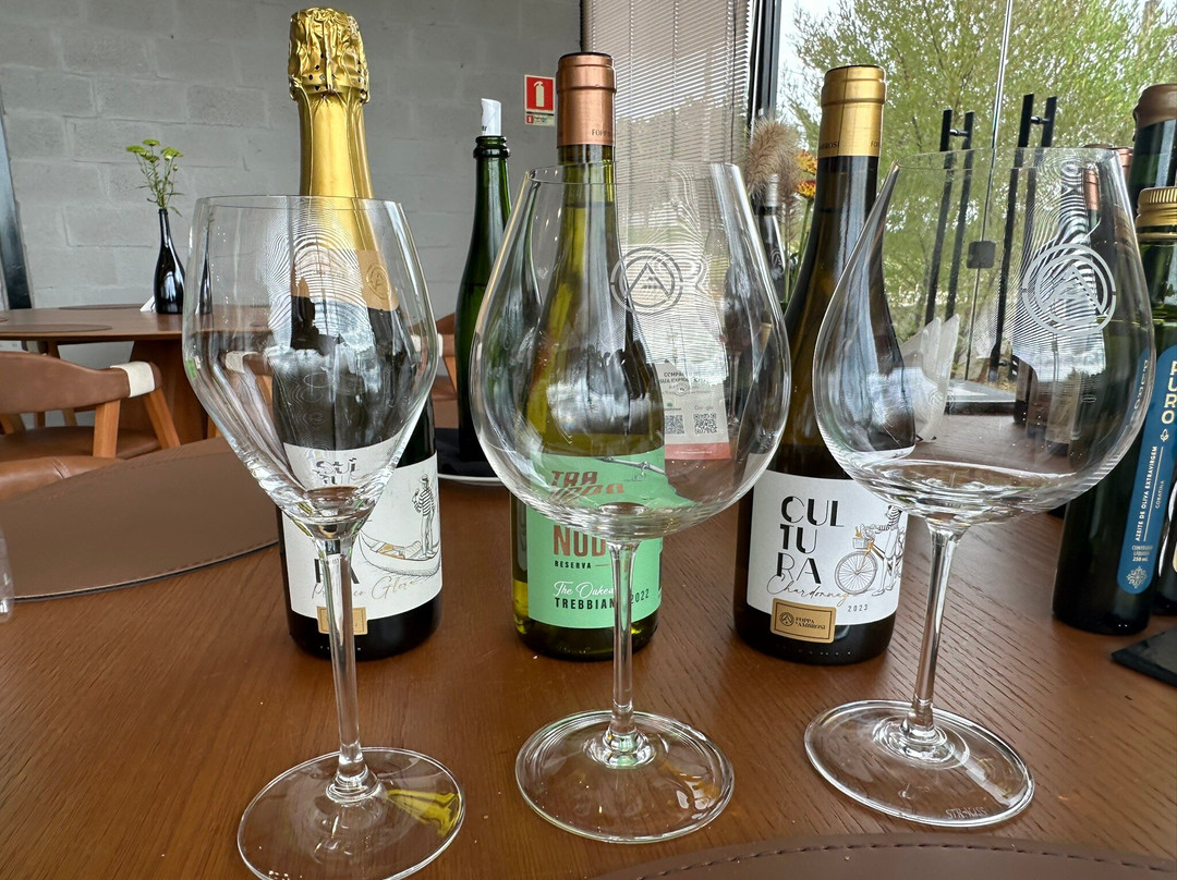 Vinícola Foppa & Ambrosi景点图片