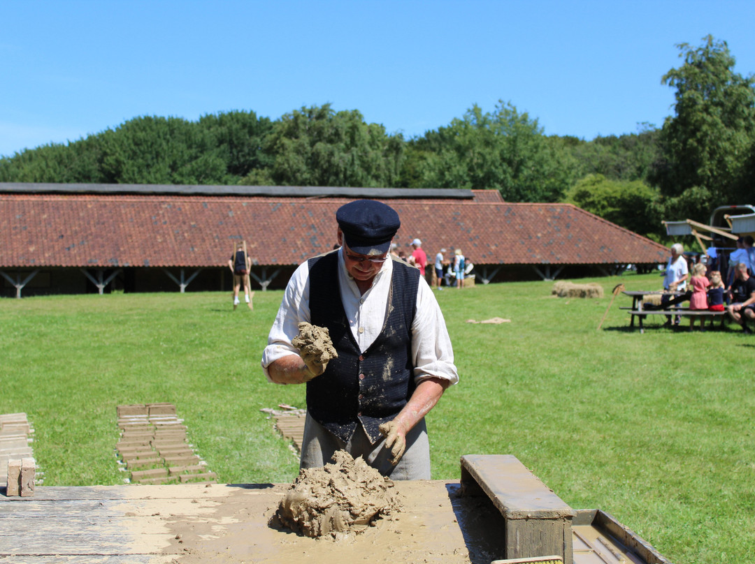 Museum Sønderjylland - Cathrinesminde Brickworks-Iller必去景点