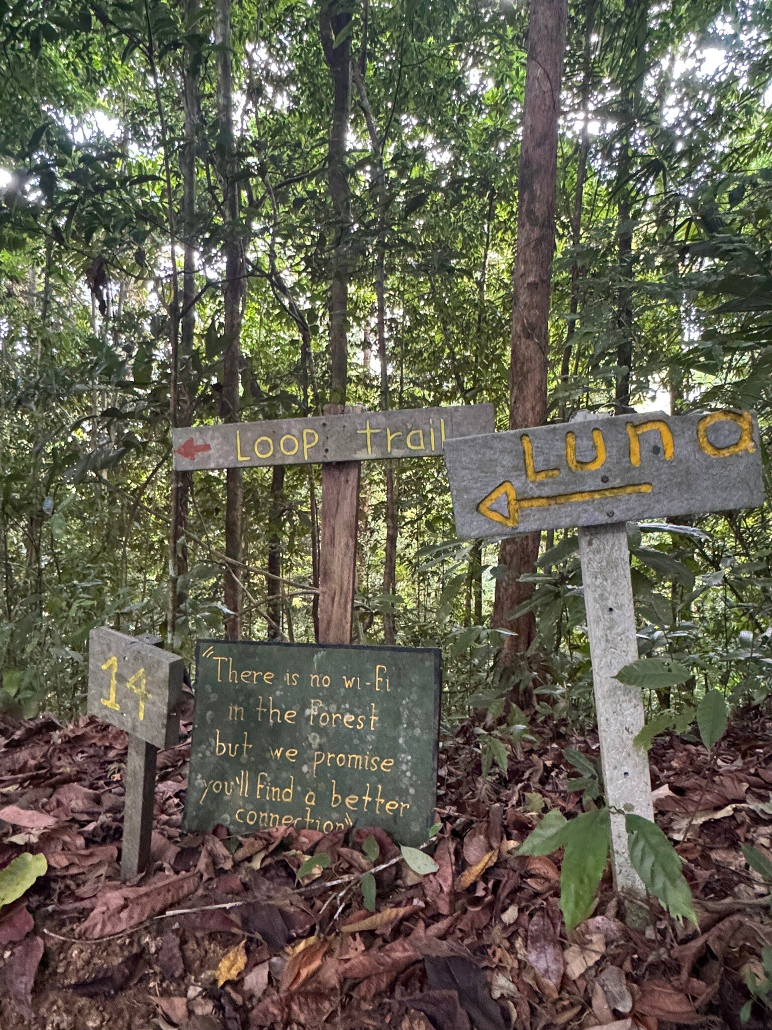 Luna Lodge-官方