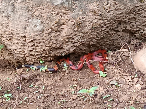 Enlaces Colombia SAS - Econnection Colombia-圣玛尔塔必去景点