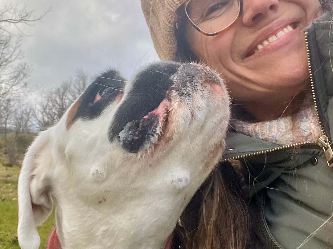 Borgo di Senarega-Valbrevenna必去景点